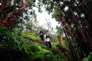 BIB: 
                            <button type="button" onclick="openModal(26202131)" class="btn btn-primary btn-sm float-right btn-popup" data-toggle="modal" data-target=".modal-high-quality">
                        <i class="fas fa-shopping-cart"></i> Add to Cart
                    </button>
                                            <button type="button" onclick="isThisMe(26202131, true)" class="btn btn-success btn-sm float-right btn-popup btn-isme hidden" data-toggle="tooltip" data-placement="bottom" title="นี่คือรูปของคุณใช่ไหม คลิกที่นี่เพื่อเอาเข้าอัลบั้ม">
                        <i class="fas fa-plus"></i> Add to album
                    </button>
                    <button type="button" onclick="isThisMe(26202131, false)" class="btn btn-warning btn-sm float-right btn-popup btn-isnotme hidden">
                        <i class="fas fa-ban"></i> Remove from album
                    </button>